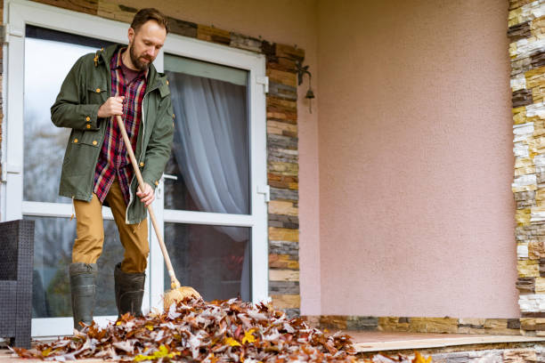 Best Construction Debris Removal  in Clayton, IN